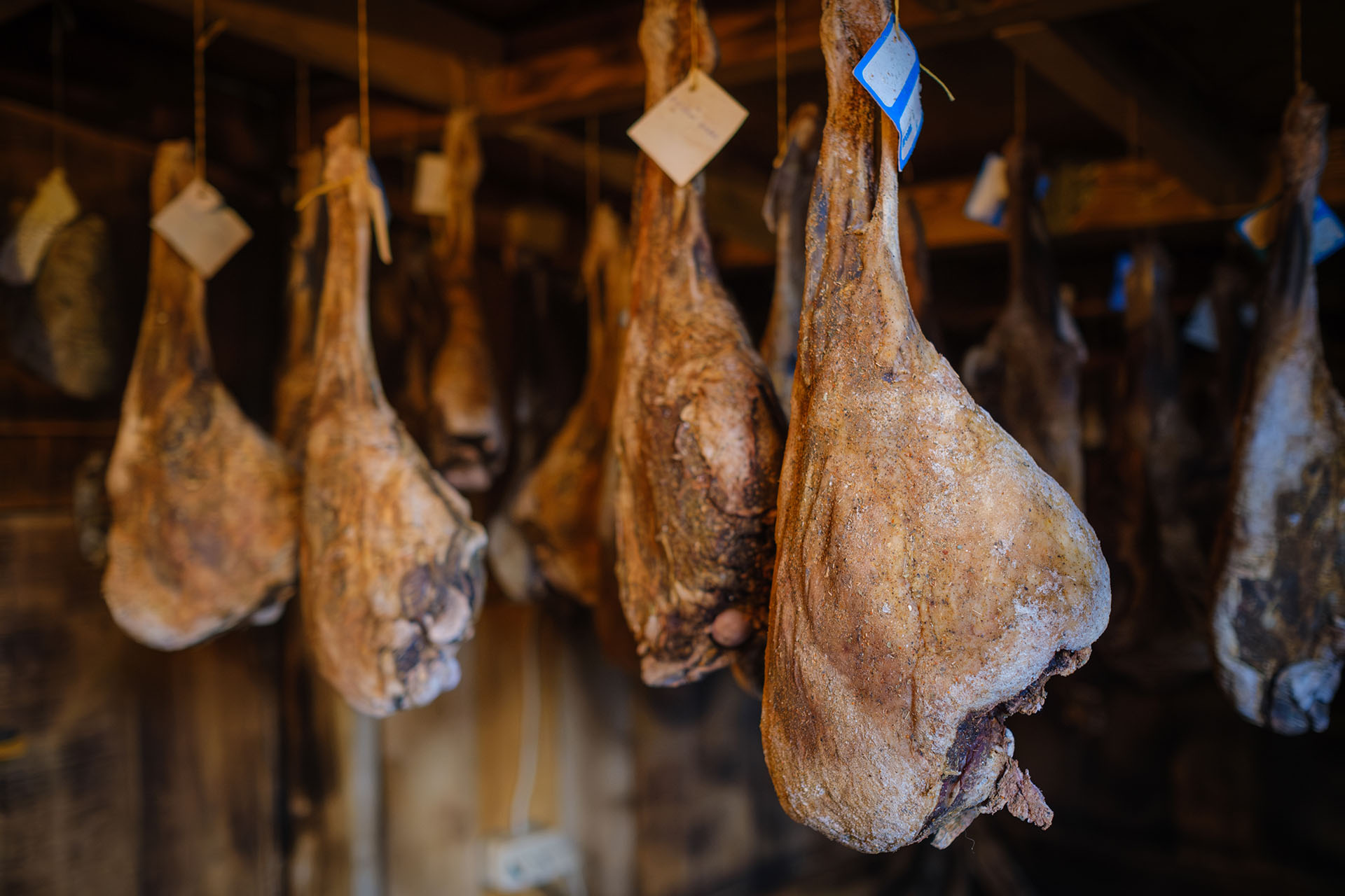 Salumi
